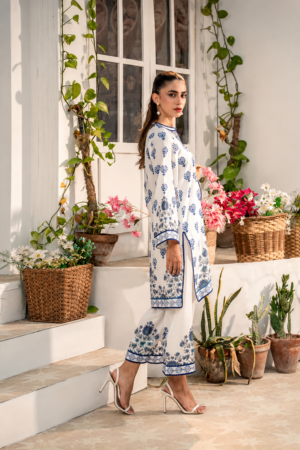 Blue Vine Printed Co-ord Set